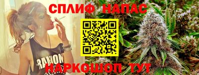 сатива Тверь