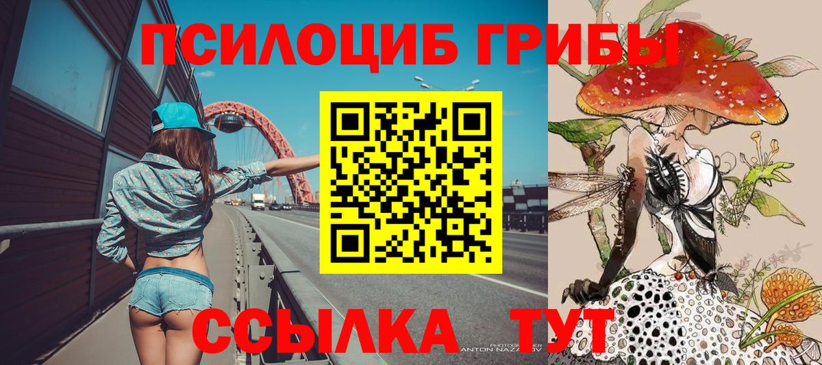 Галлюциногенные грибы мицелий  Вход с VPN  Псилоцибиновые грибы MAGIC MUSHROOMS  Нижний Новгород 