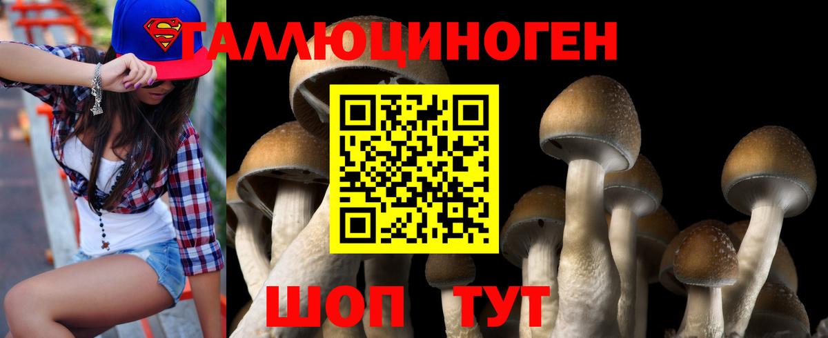 Галлюциногенные грибы мухоморы Нижний Новгород